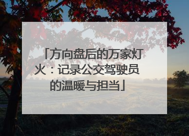 方向盘后的万家灯火：记录公交驾驶员的温暖与担当