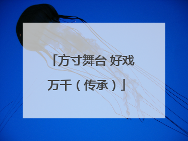 方寸舞台 好戏万千（传承）