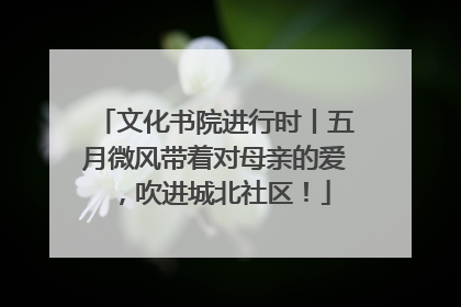 文化书院进行时丨五月微风带着对母亲的爱，吹进城北社区！