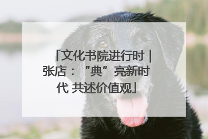 文化书院进行时｜张店：“典”亮新时代 共述价值观