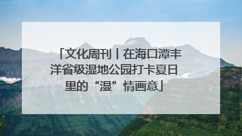 文化周刊丨在海口潭丰洋省级湿地公园打卡夏日里的“湿”情画意