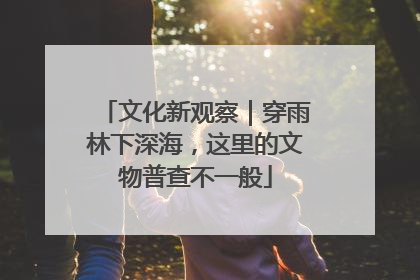 文化新观察｜穿雨林下深海，这里的文物普查不一般