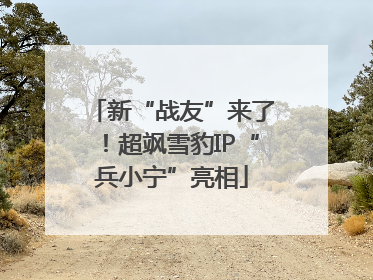 新“战友”来了！超飒雪豹IP“兵小宁”亮相