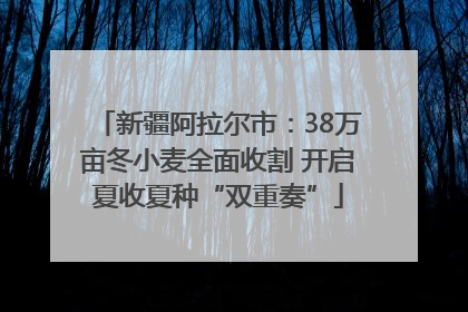 新疆阿拉尔市：38万亩冬小麦全面收割 开启夏收夏种“双重奏”