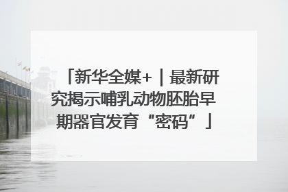 新华全媒+｜最新研究揭示哺乳动物胚胎早期器官发育“密码”