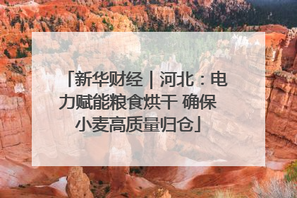 新华财经｜河北：电力赋能粮食烘干 确保小麦高质量归仓