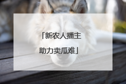 新农人播主 助力卖瓜难