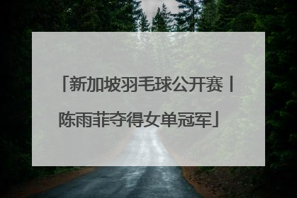 新加坡羽毛球公开赛丨陈雨菲夺得女单冠军