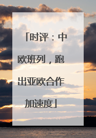 时评：中欧班列，跑出亚欧合作加速度