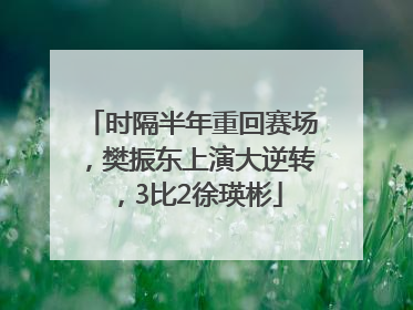 时隔半年重回赛场，樊振东上演大逆转，3比2徐瑛彬