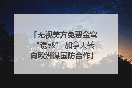 无视美方免费金穹“诱惑” 加拿大转向欧洲谋国防合作