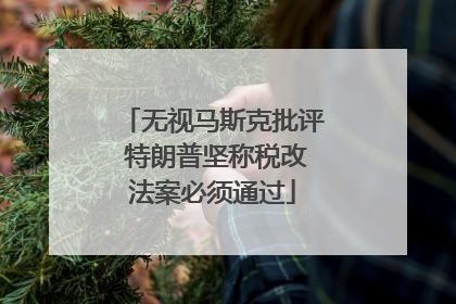 无视马斯克批评 特朗普坚称税改法案必须通过