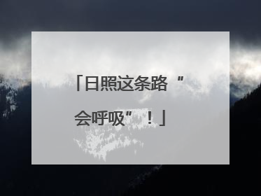 日照这条路“会呼吸”！