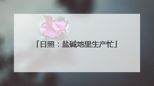 日照：盐碱地里生产忙