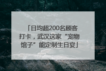 日均超200名顾客打卡，武汉这家“宠物馆子”能定制生日宴