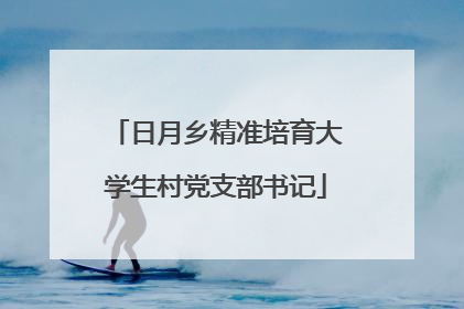 日月乡精准培育大学生村党支部书记