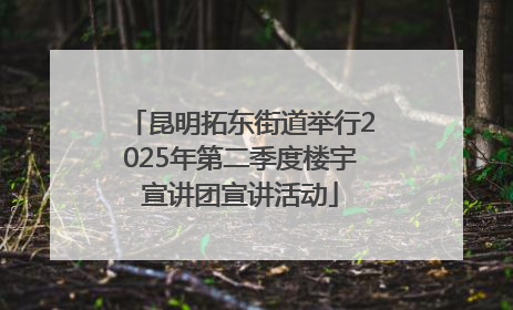昆明拓东街道举行2025年第二季度楼宇宣讲团宣讲活动