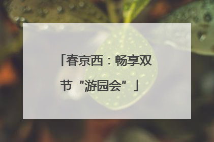 春京西：畅享双节“游园会”