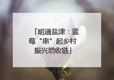 昭通盐津：蓝莓“串”起乡村振兴增收链