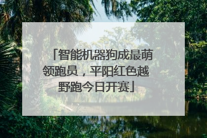 智能机器狗成最萌领跑员，平阳红色越野跑今日开赛
