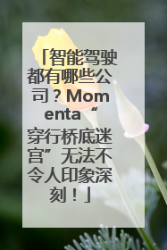 智能驾驶都有哪些公司？Momenta“穿行桥底迷宫”无法不令人印象深刻！