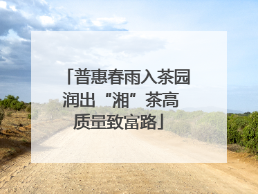 普惠春雨入茶园 润出“湘”茶高质量致富路