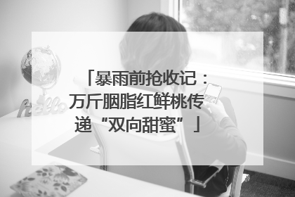 暴雨前抢收记：万斤胭脂红鲜桃传递“双向甜蜜”