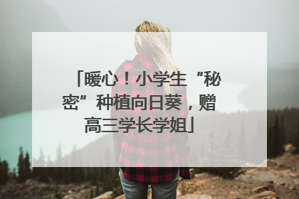 暖心！小学生“秘密”种植向日葵，赠高三学长学姐