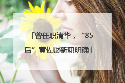 曾任职清华，“85后”黄佐财新职明确