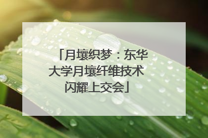 月壤织梦：东华大学月壤纤维技术闪耀上交会