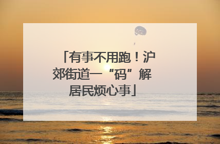 有事不用跑！沪郊街道一“码”解居民烦心事