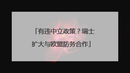 有违中立政策？瑞士扩大与欧盟防务合作