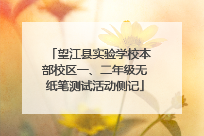 望江县实验学校本部校区一、二年级无纸笔测试活动侧记