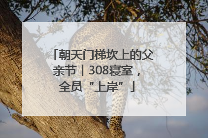 朝天门梯坎上的父亲节丨308寝室，全员“上岸”