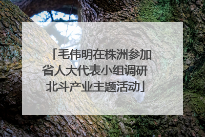 毛伟明在株洲参加省人大代表小组调研北斗产业主题活动