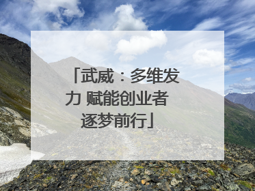 武威：多维发力 赋能创业者逐梦前行