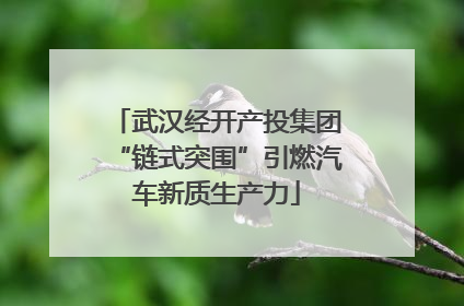 武汉经开产投集团“链式突围”引燃汽车新质生产力
