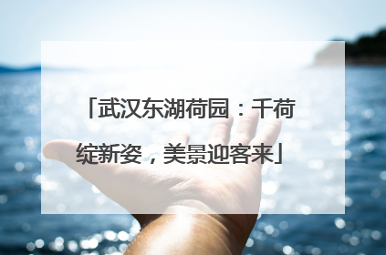 武汉东湖荷园：千荷绽新姿，美景迎客来
