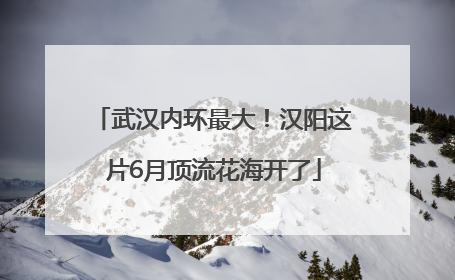 武汉内环最大！汉阳这片6月顶流花海开了