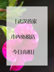 武汉首家市内免税店今日亮相