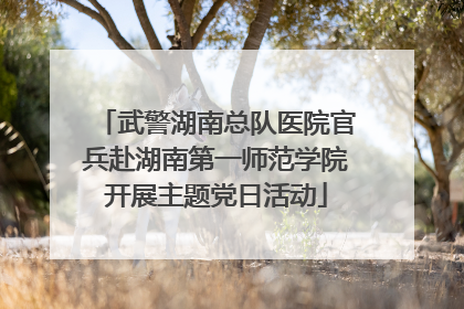 武警湖南总队医院官兵赴湖南第一师范学院开展主题党日活动