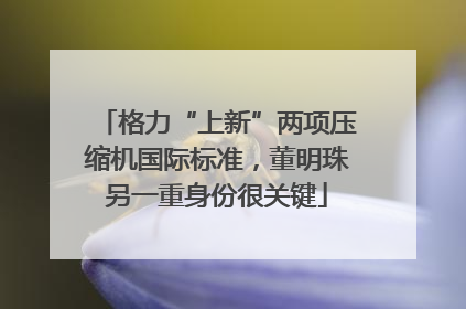 格力“上新”两项压缩机国际标准，董明珠另一重身份很关键
