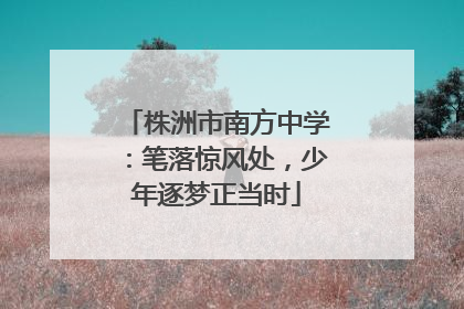 株洲市南方中学：笔落惊风处，少年逐梦正当时