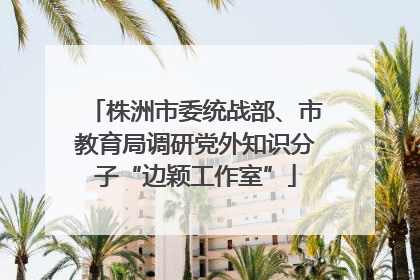 株洲市委统战部、市教育局调研党外知识分子“边颖工作室”