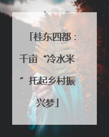 桂东四都：千亩“冷水米”托起乡村振兴梦