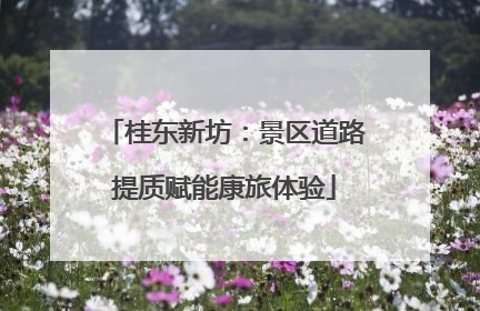 桂东新坊：景区道路提质赋能康旅体验