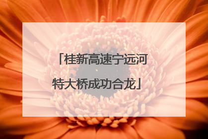 桂新高速宁远河特大桥成功合龙