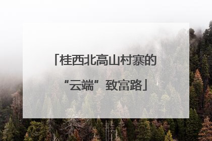 桂西北高山村寨的“云端”致富路