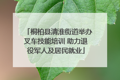 桐柏县清淮街道举办叉车技能培训 助力退役军人及居民就业