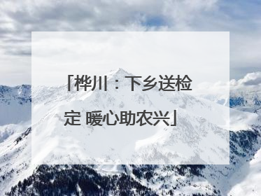 桦川：下乡送检定 暖心助农兴
